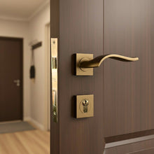 Load image into Gallery viewer, Pinar Rosetta Door Handle