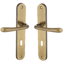 Load image into Gallery viewer, Remo Door Handle