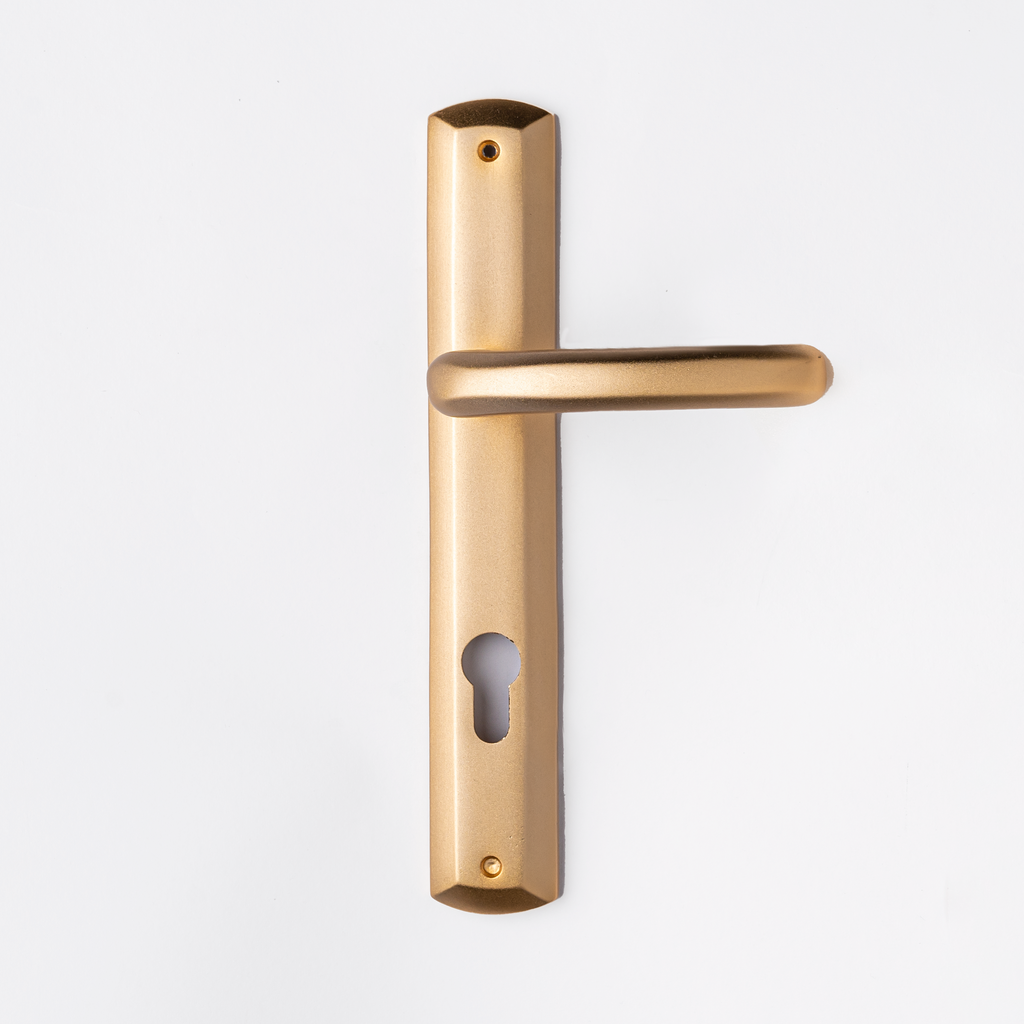 Remo Door Handle
