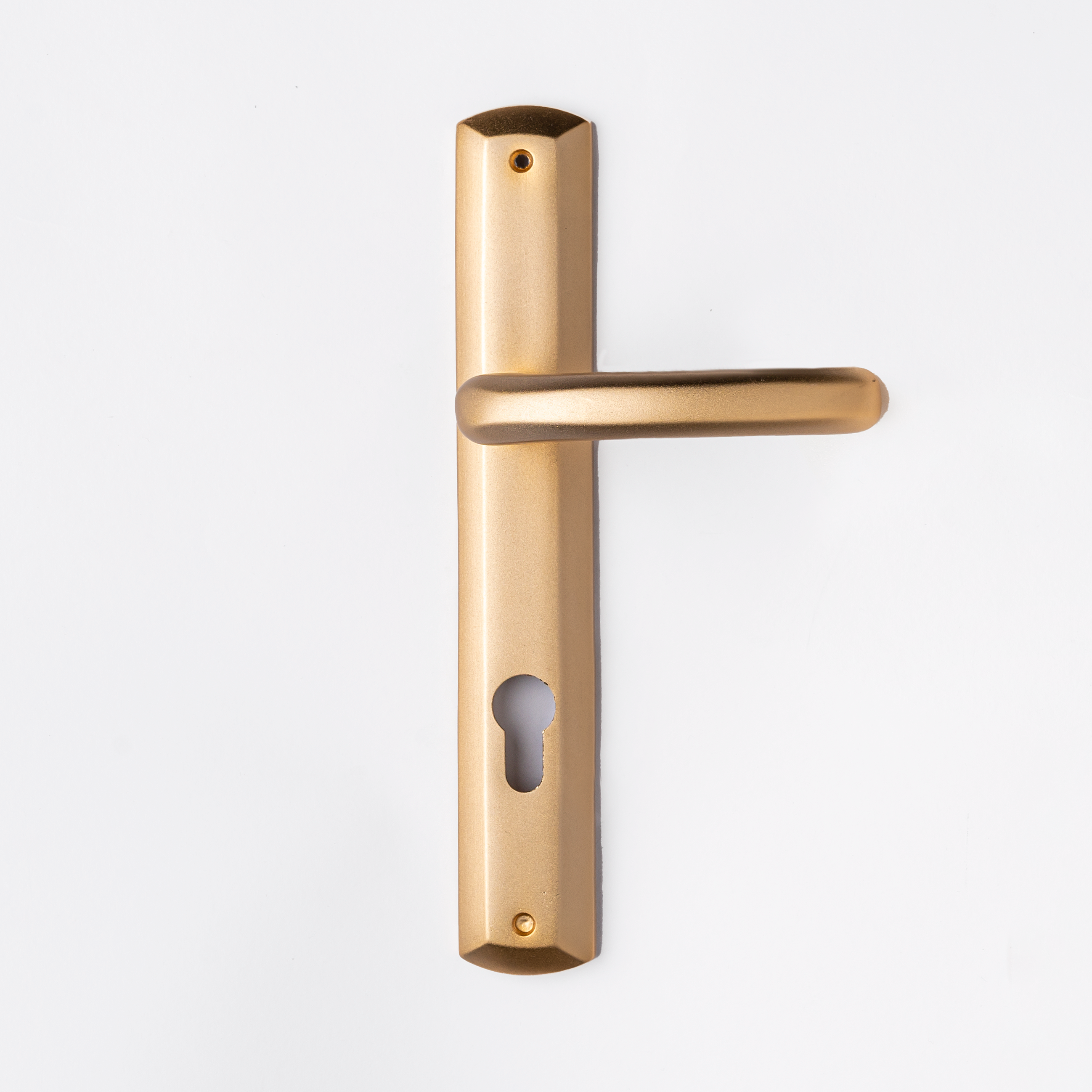 Remo Door Handle