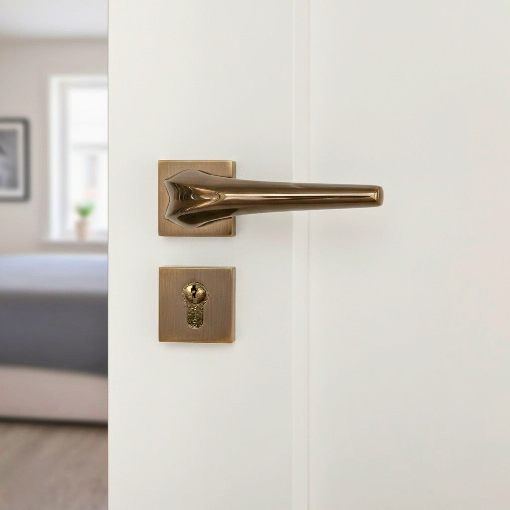 Armada Rosetta Cylinder Door Handle