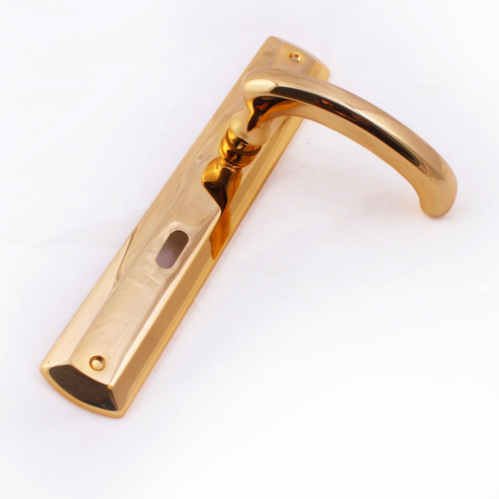Remo Door Handle
