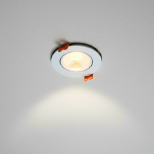 Load image into Gallery viewer, Moving Spot
