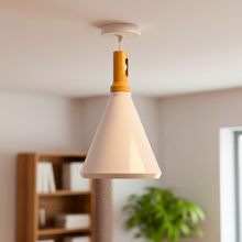 Load image into Gallery viewer, Ceiling Pendant 021429-1
