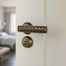 Load image into Gallery viewer, Rosetta Door Handle Q05-129B
