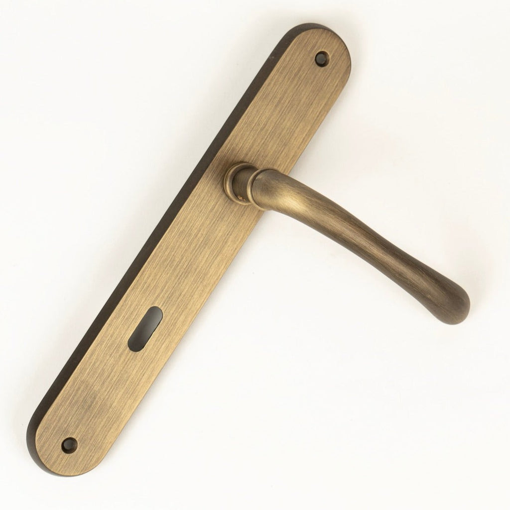 Remo Door Handle