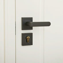 Load image into Gallery viewer, Barbaros Rosetta Cylinder Door Handle
