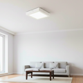 Square LED Ceiling Light