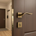 Pinar Rosetta Door Handle