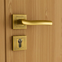 Load image into Gallery viewer, Polat Rosetta Cylinder Door Handle
