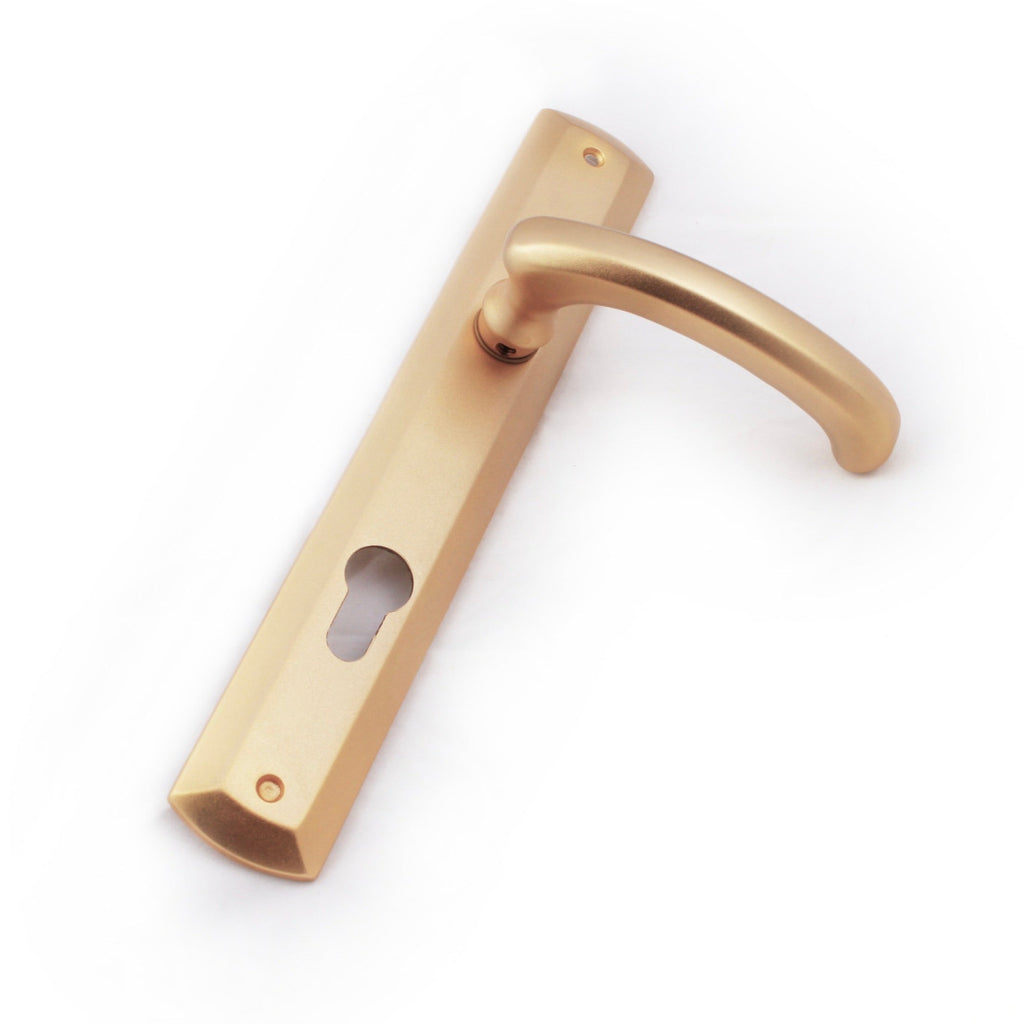 Remo Door Handle