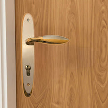 Load image into Gallery viewer, Yunus Door Handle
