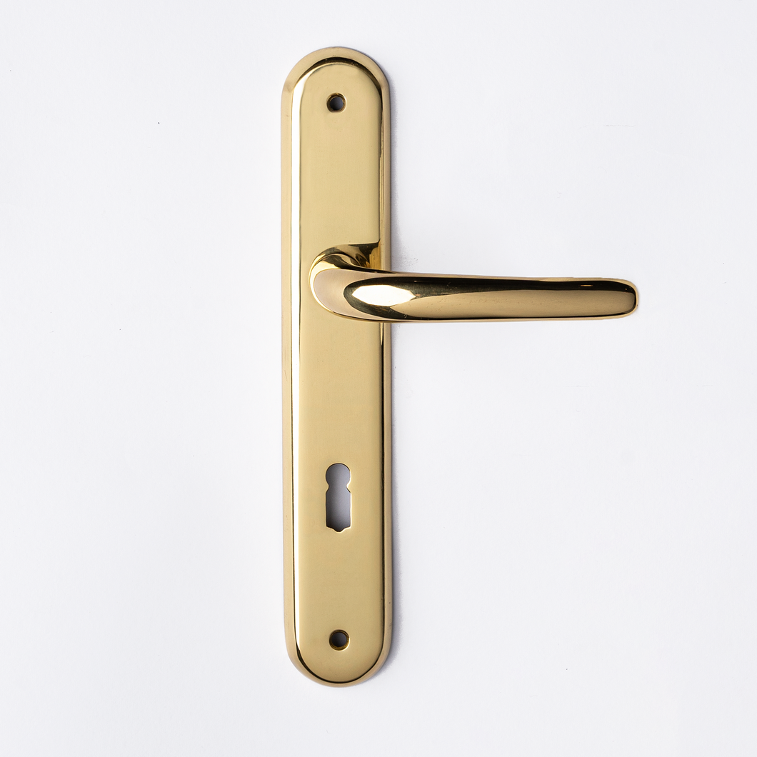 Remo Door Handle