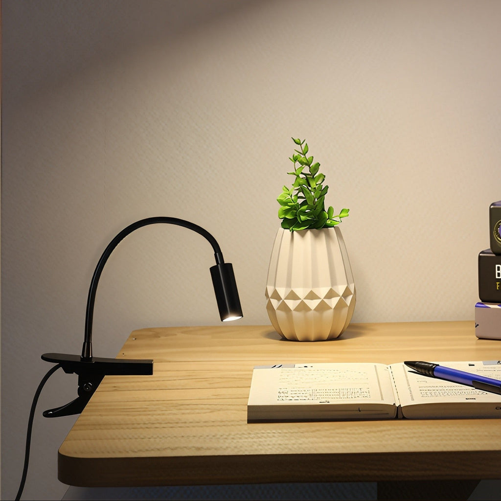 Desk Lamp 031407-1