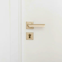 Load image into Gallery viewer, Nil Rosetta Cylinder Door Handle
