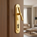 Turkish 1/2 Cylinder Door Handle
