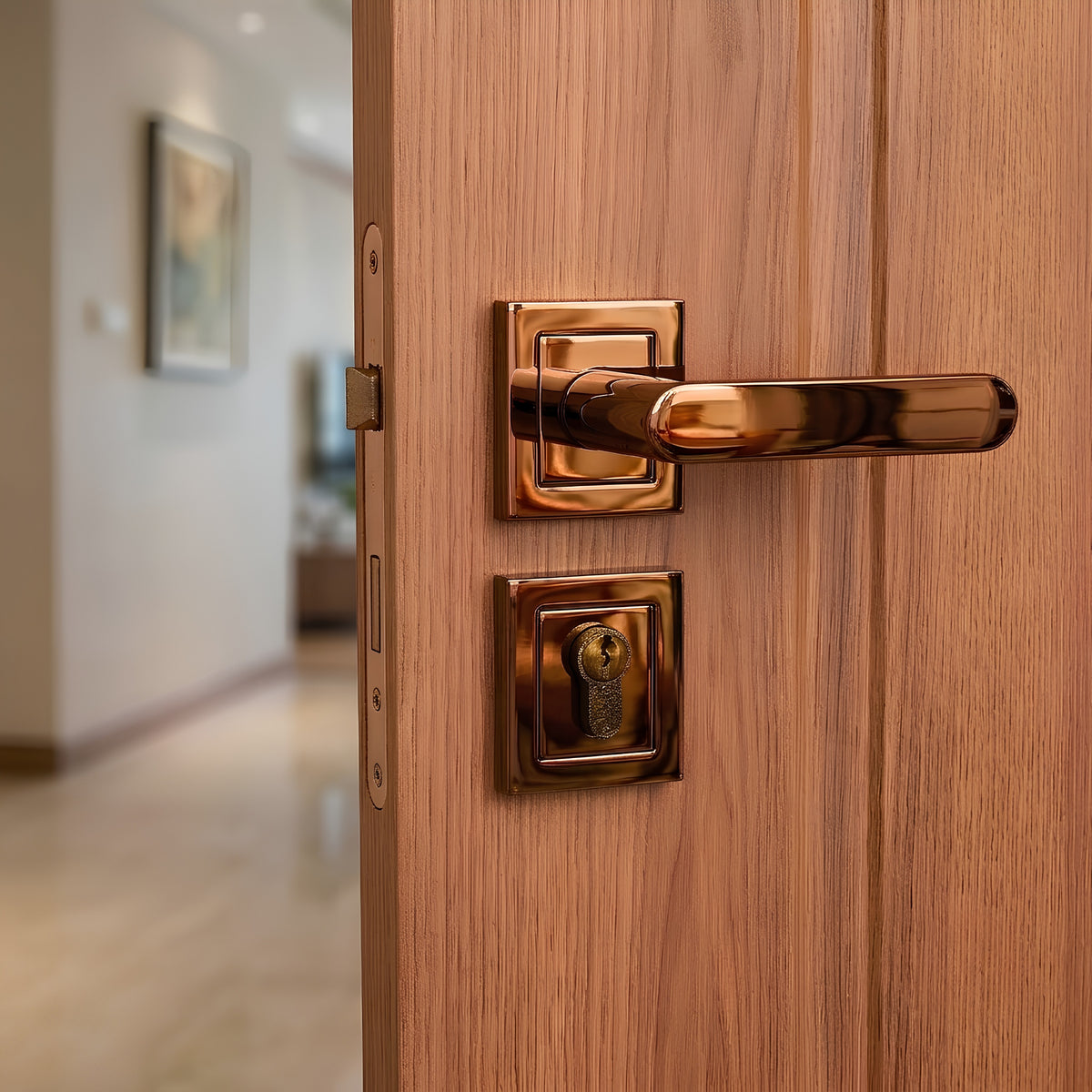 Barbaros Rosetta Cylinder Door Handle