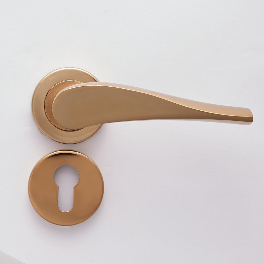 Basak Rosetta Cylinder Door Handle