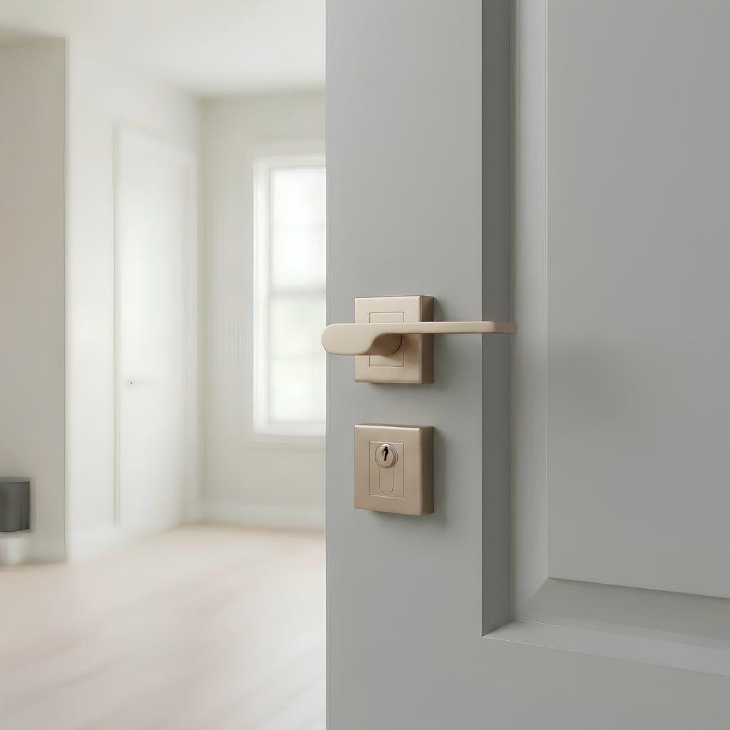 Delta Rosetta Cylinder Door Handle
