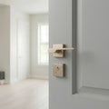 Delta Rosetta Cylinder Door Handle