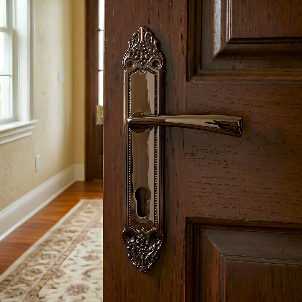 Hazal Door Handle Classic