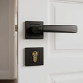 Karvan Rosetta Cylinder Door Handle