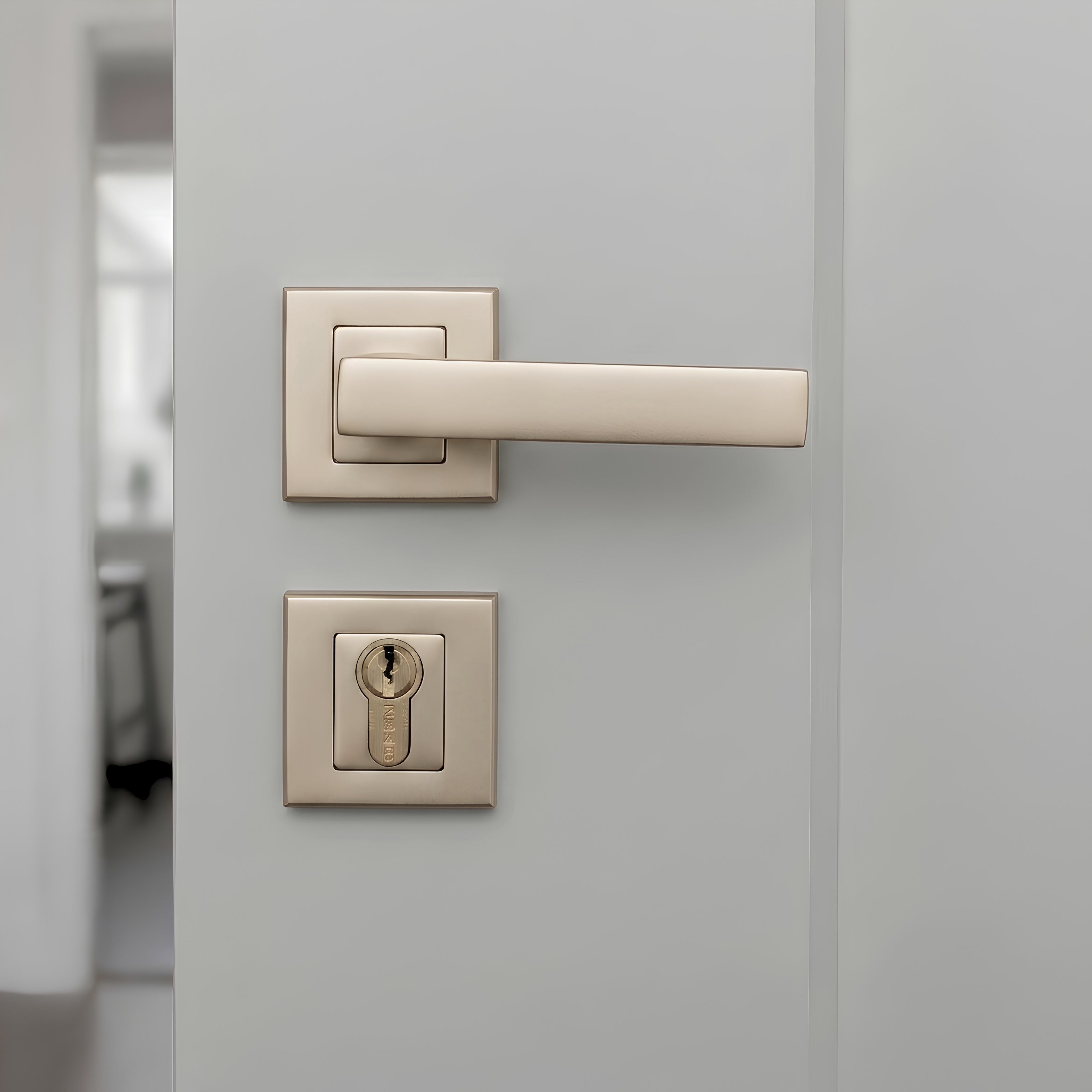 Lama Rosetta Cylinder Door Handle