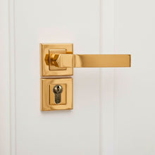 Load image into Gallery viewer, Plato Rosetta Cylinder Door Handle
