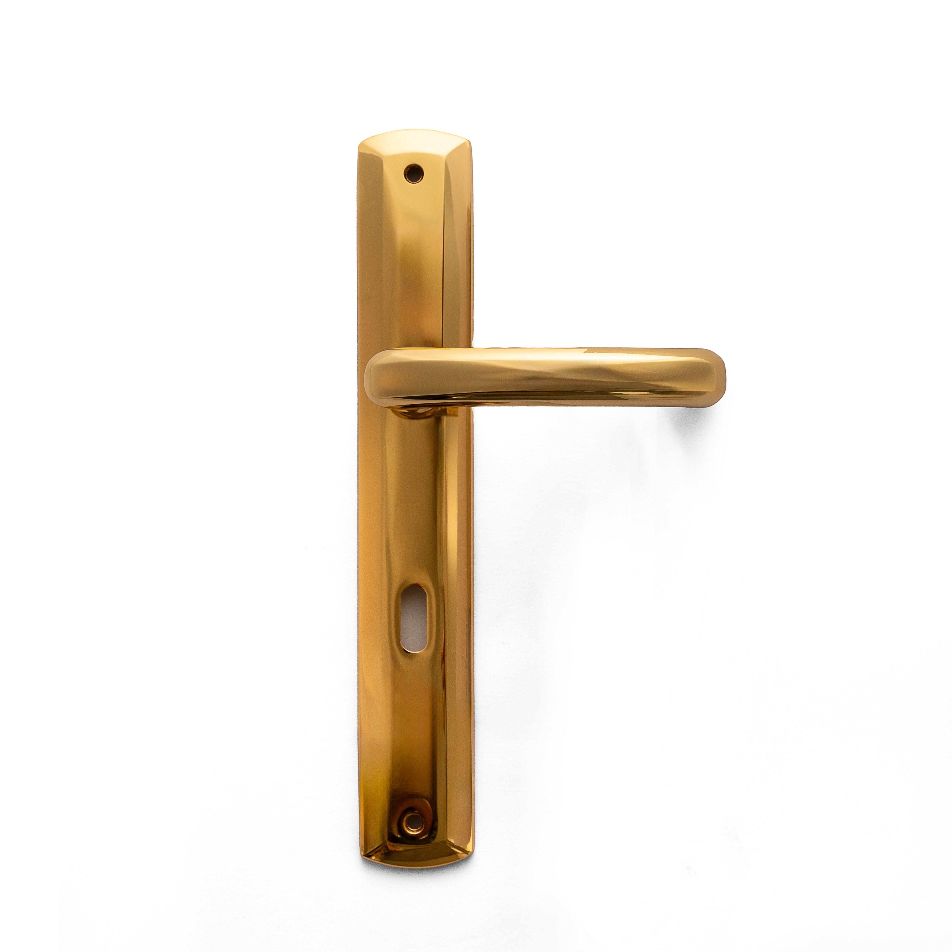 Remo Door Handle
