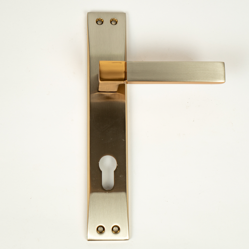 Plato Door Handle