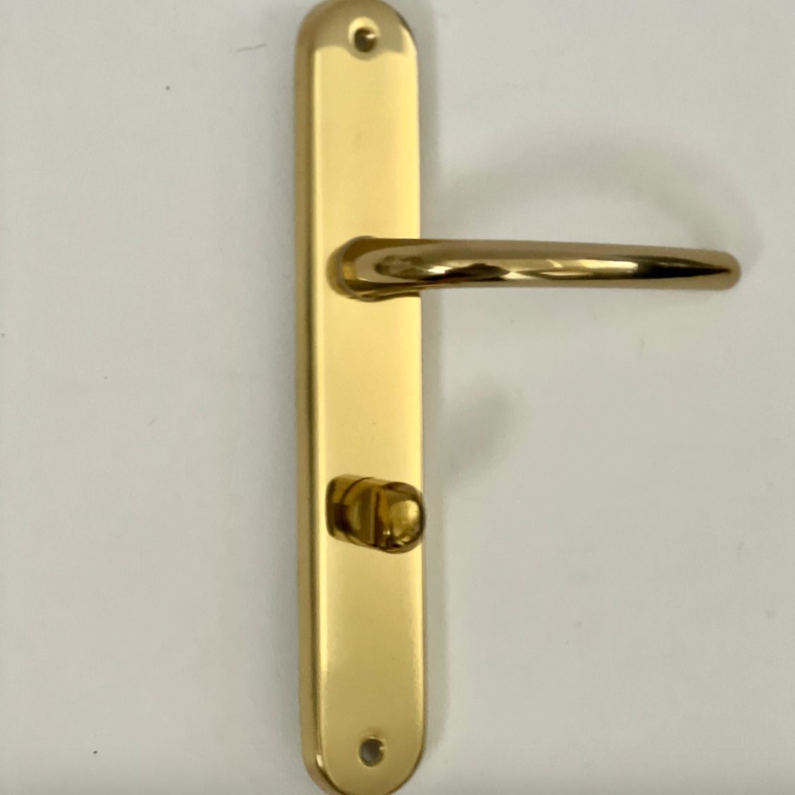 Remo Door Handle