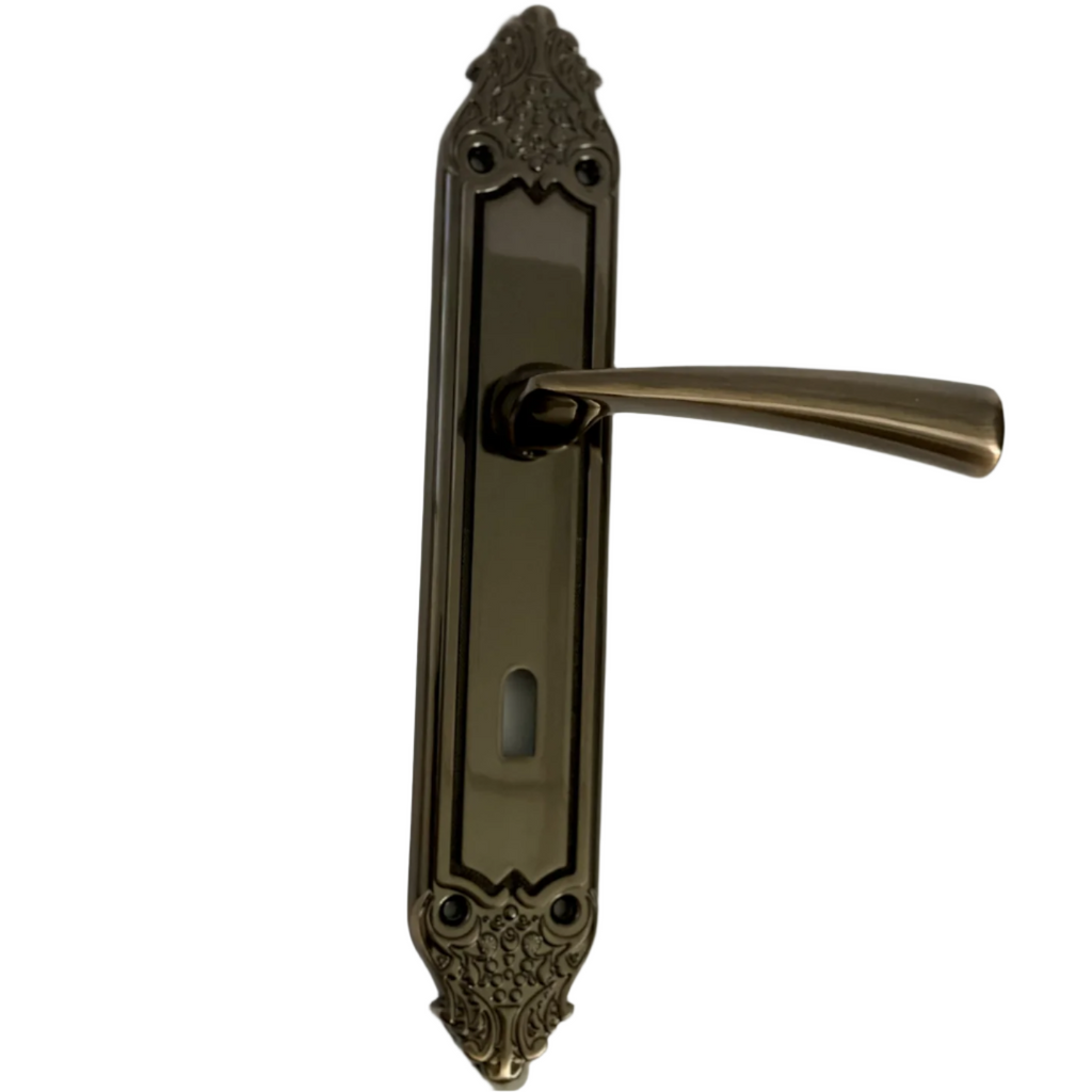 Hazal Door Handle Classic