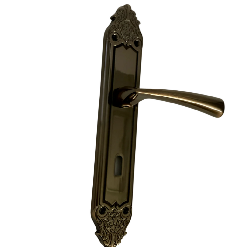 Hazal Door Handle Classic