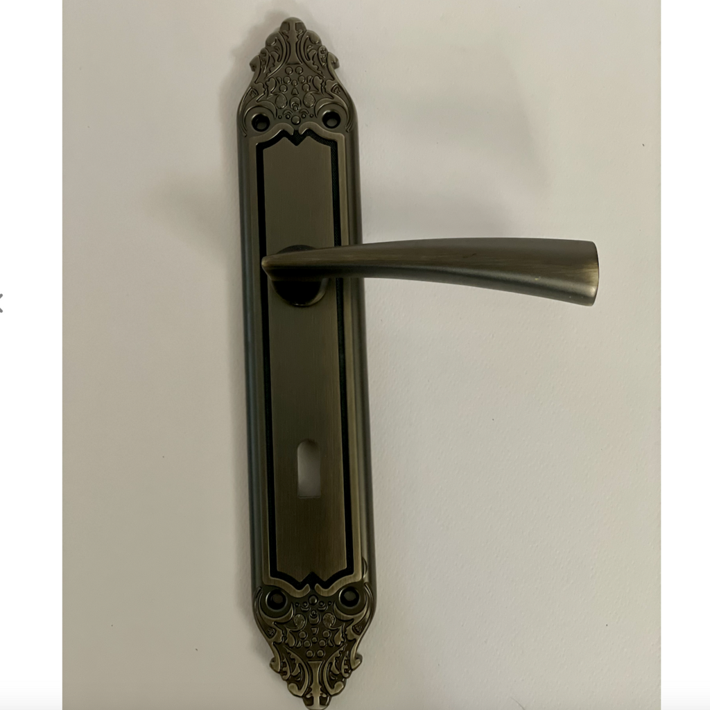 Hazal Door Handle Classic