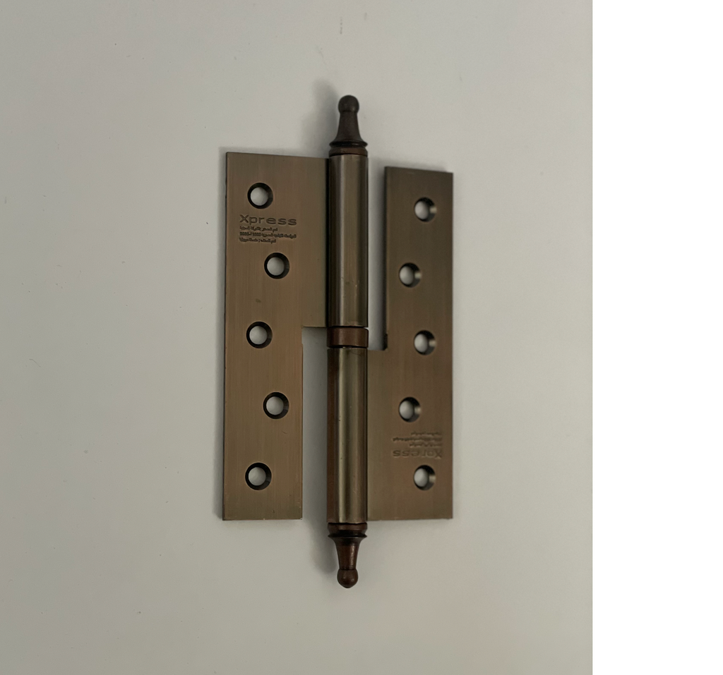 Xpress Door Hinge