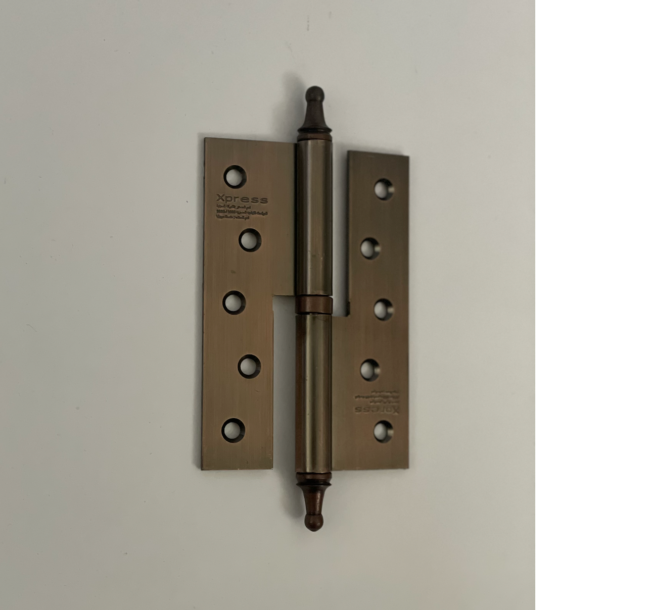 Xpress Door Hinge