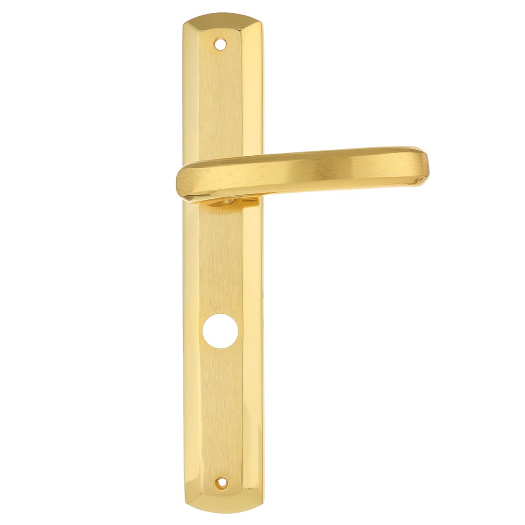 Remo Door Handle