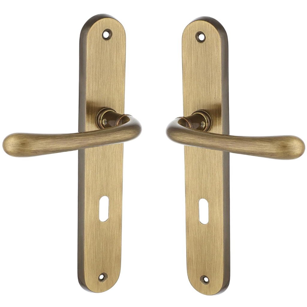 Remo Door Handle