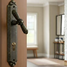 Load image into Gallery viewer, 1/2 Cylinder Door Handle
