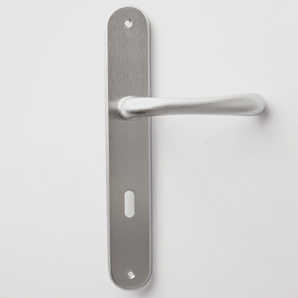 Remo Door Handle