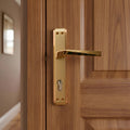 Yildiz Door Handle