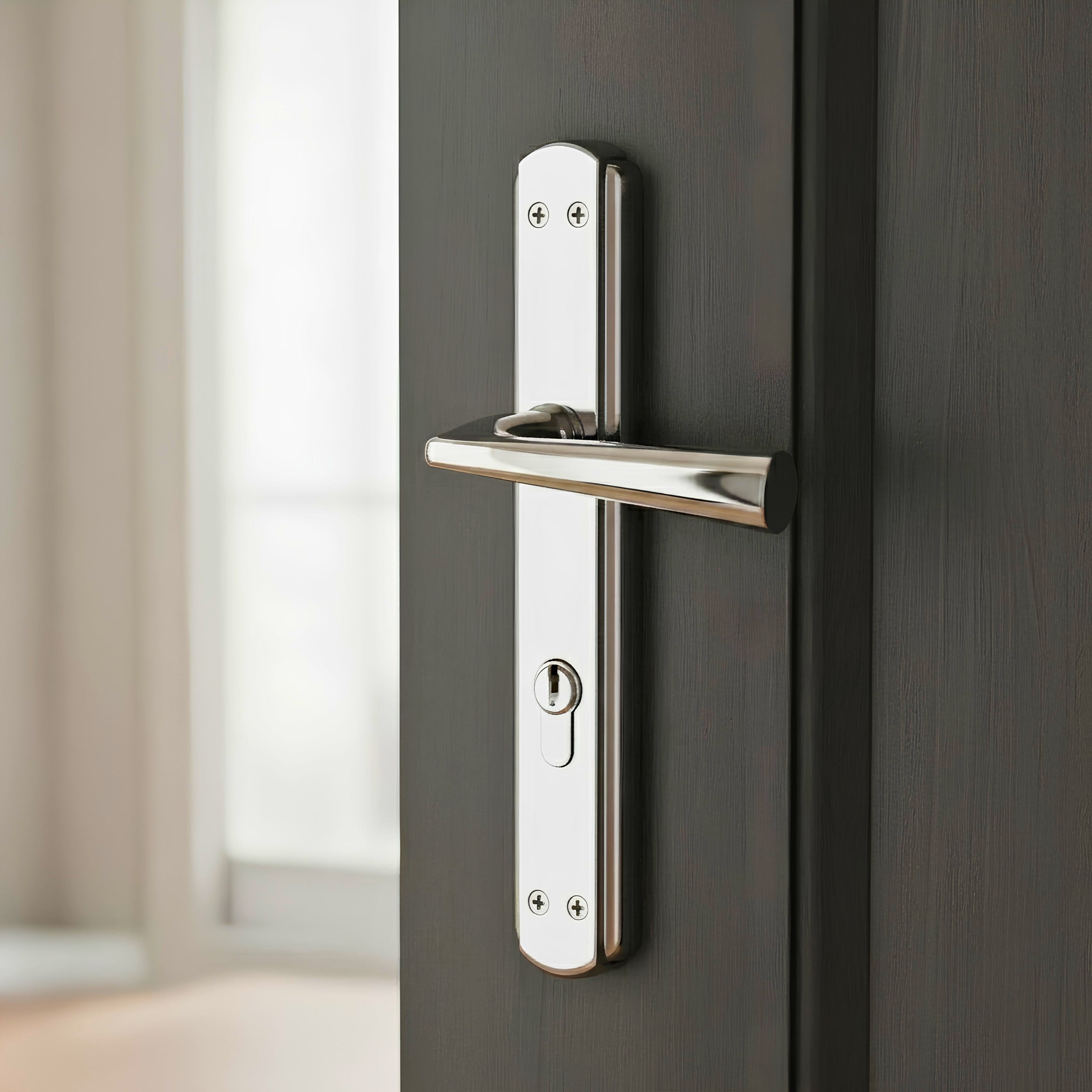 Hazal Door Handle