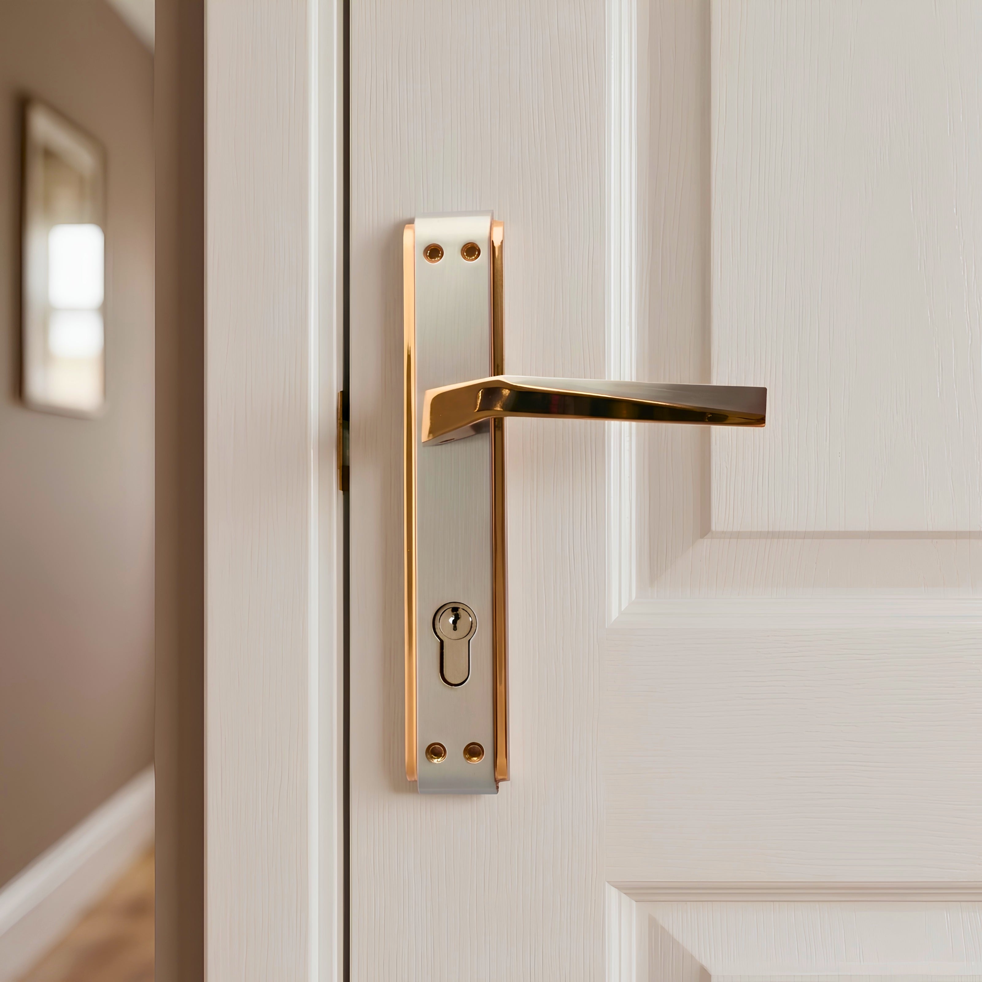Yildiz Door Handle