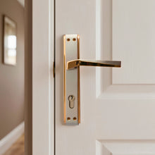 Load image into Gallery viewer, Yildiz Door Handle
