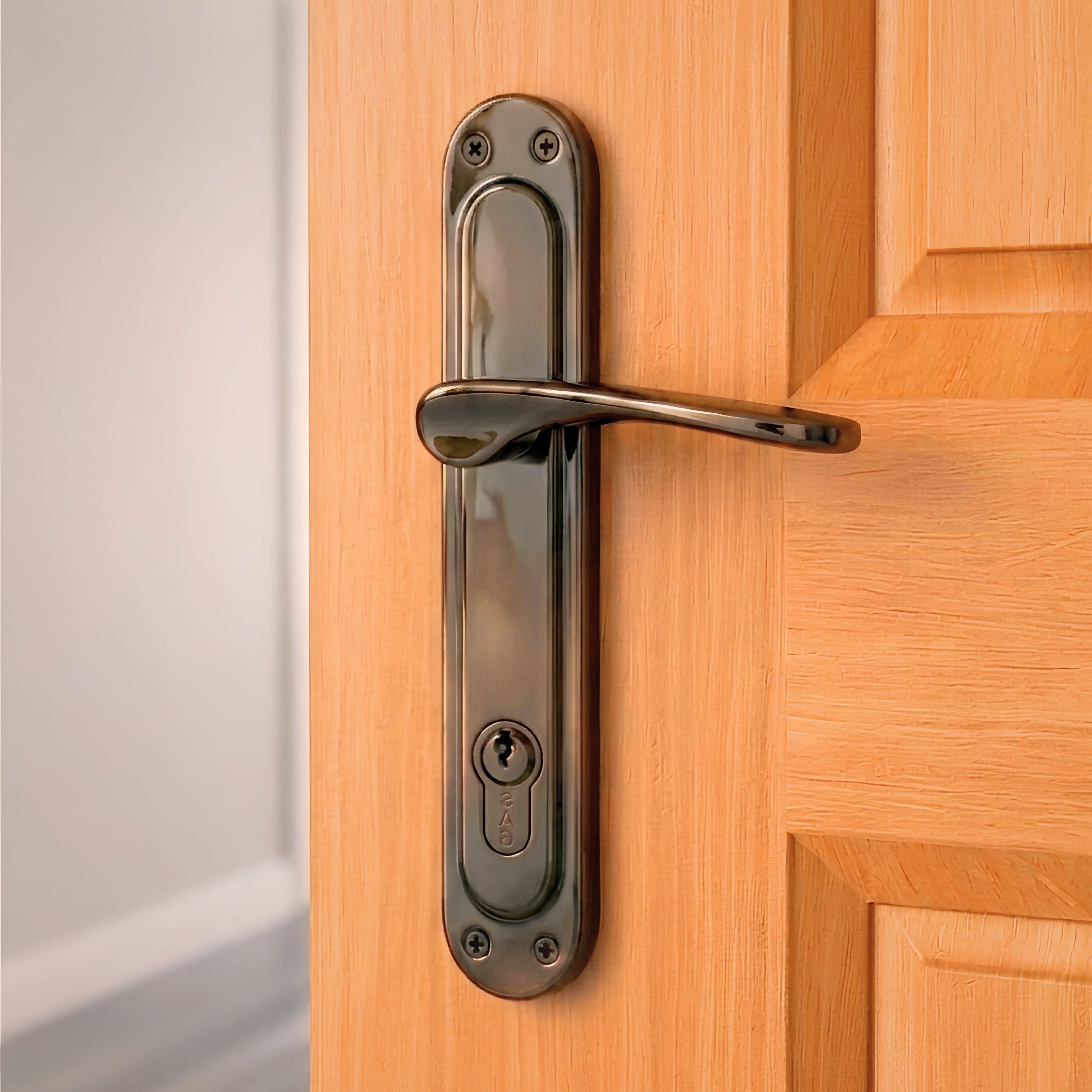 Turkish Door Handle