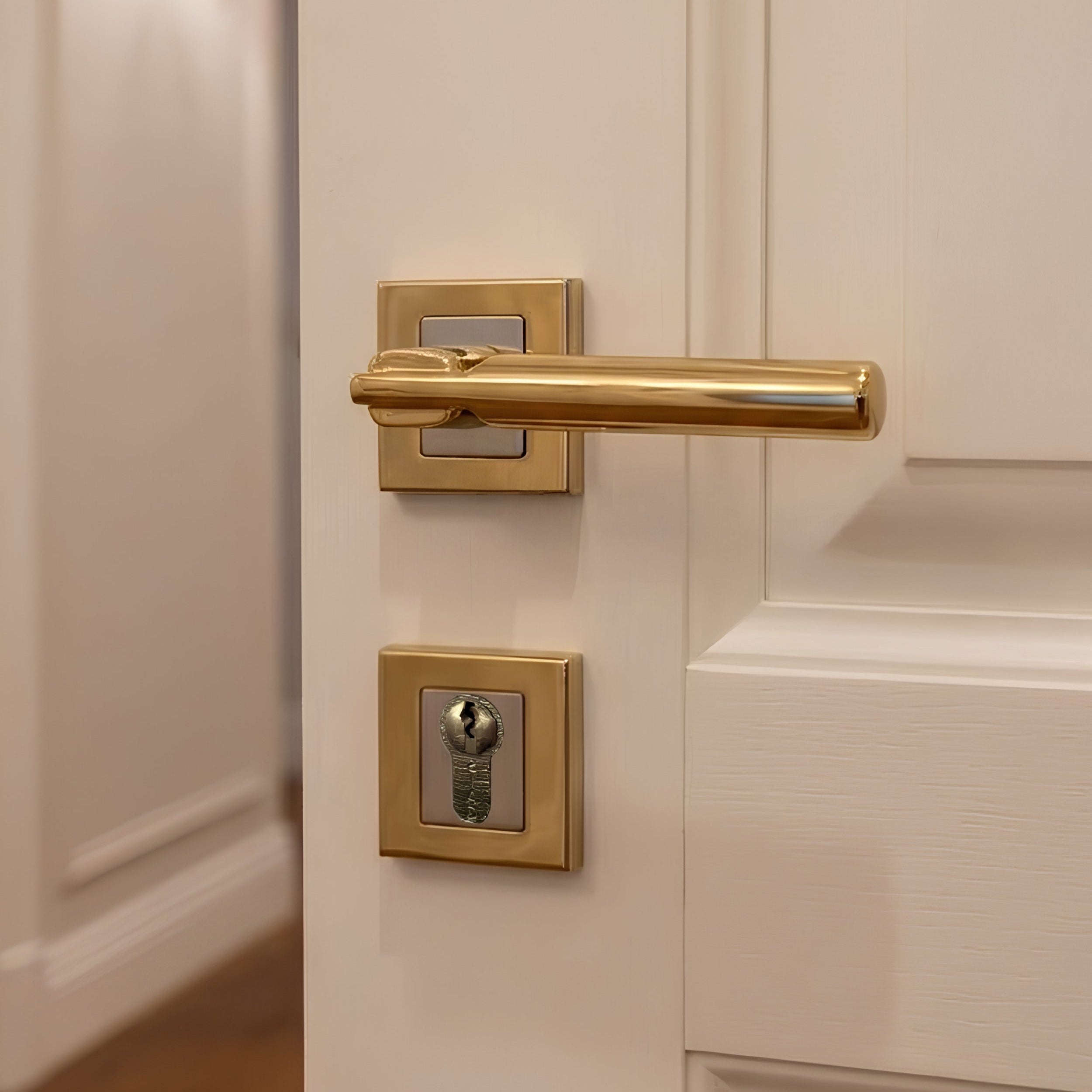 Firat Rosetta Cylinder Door Handle