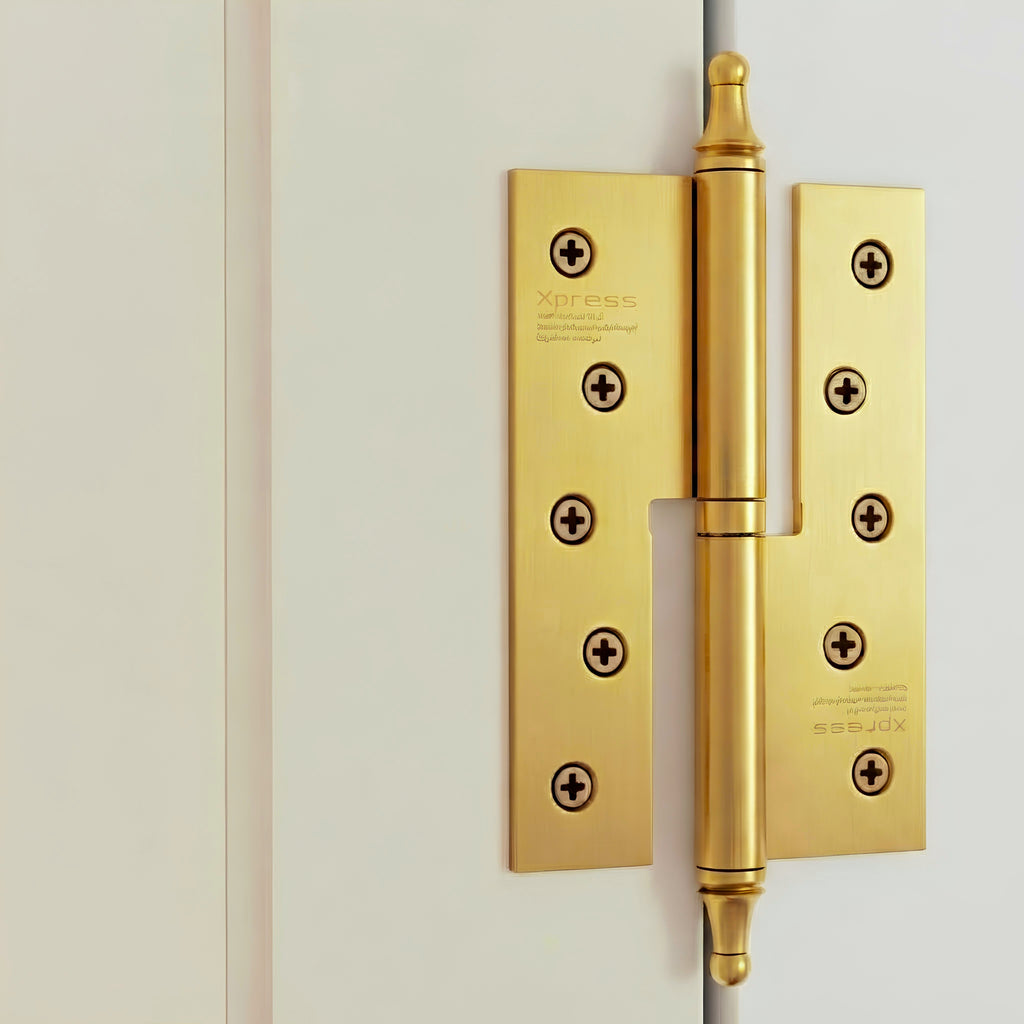 Xpress Door Hinge