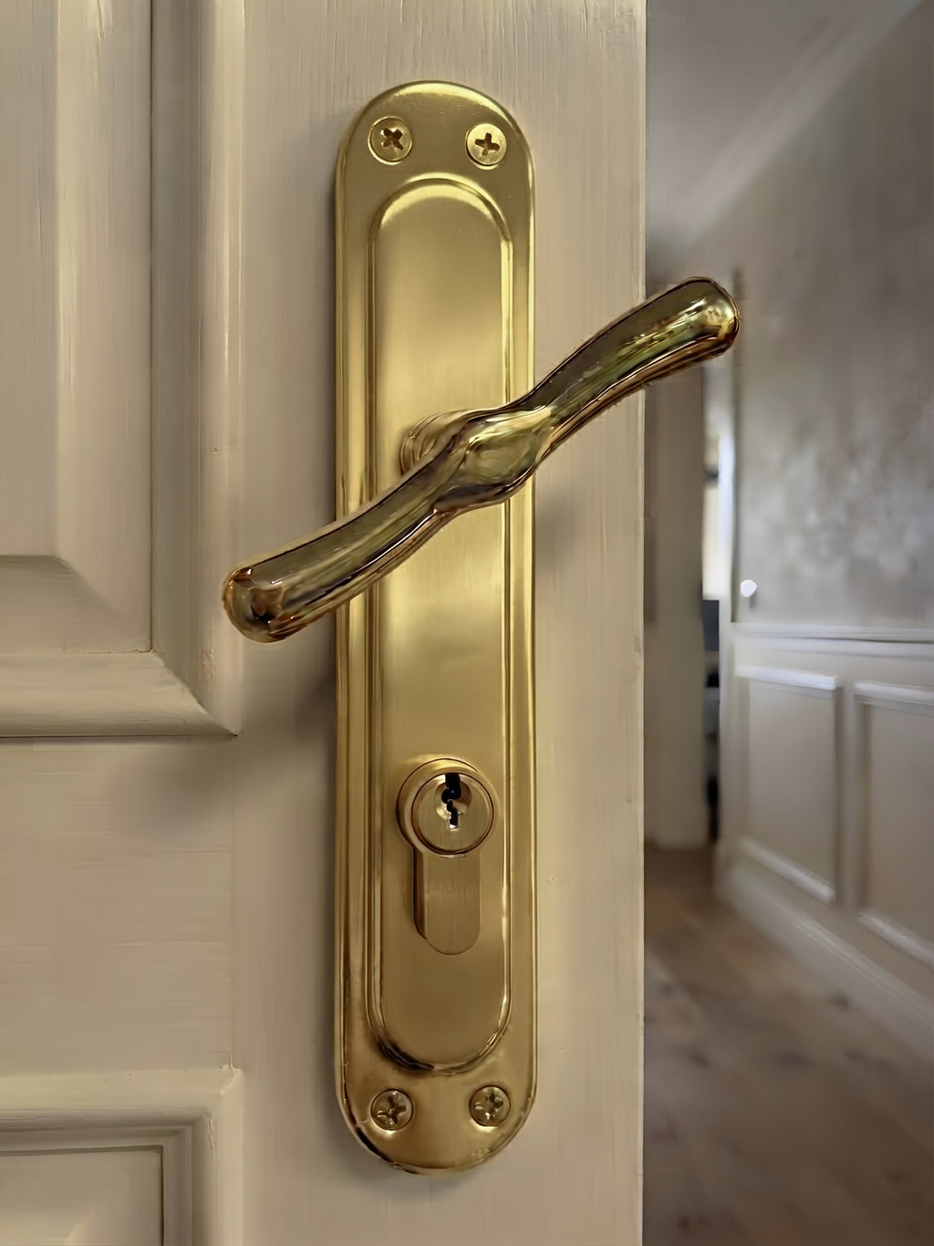 Turkish 1/2 Cylinder Door Handle
