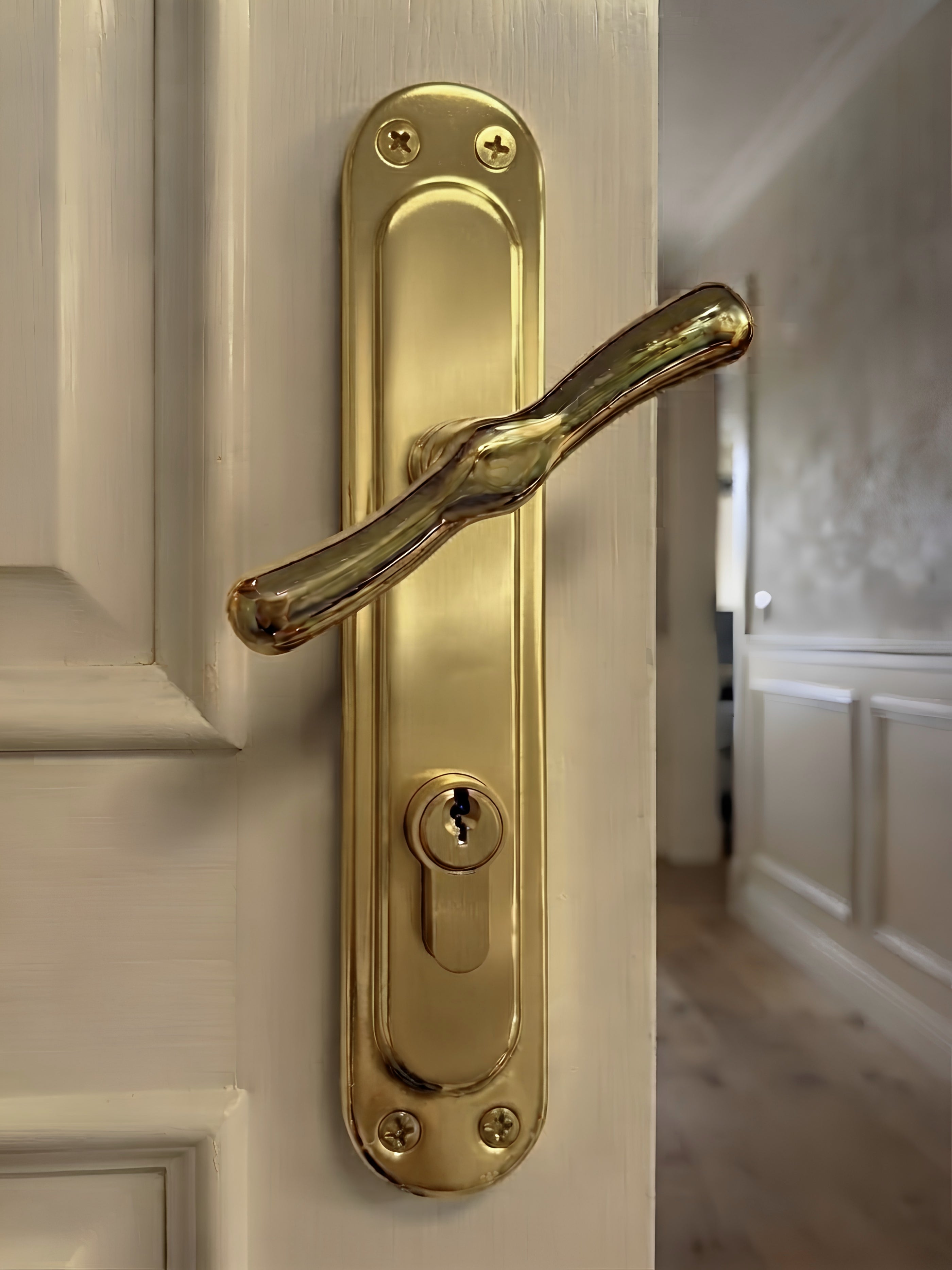 Turkish 1/2 Cylinder Door Handle