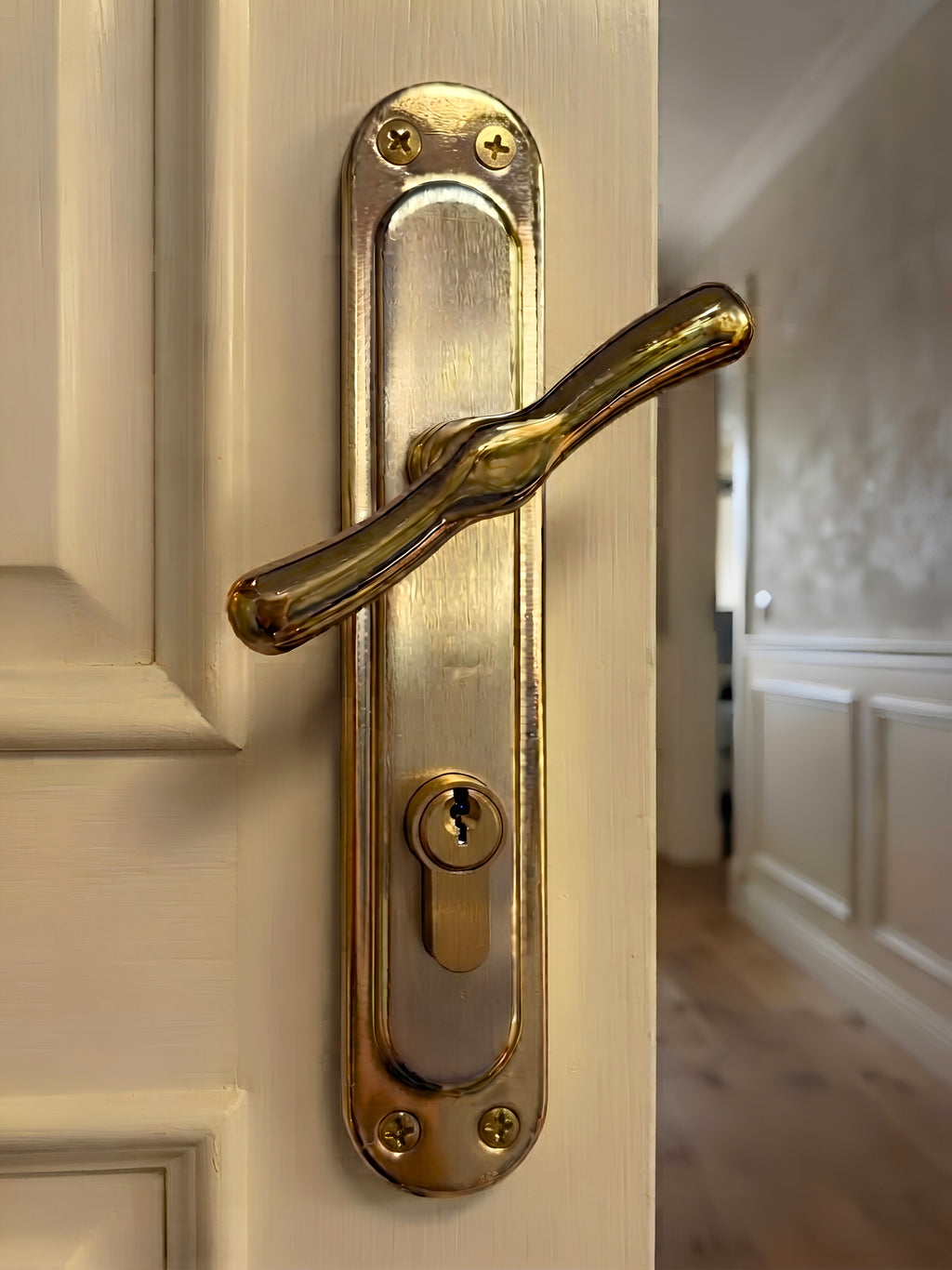 Turkish 1/2 Cylinder Door Handle